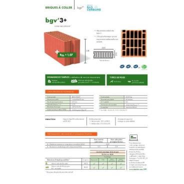 Fiche produit brique bgv'3+