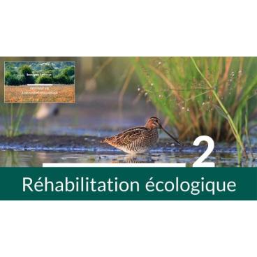 miniature-gestion-gisement-ep-2-rehabilitation-ecologique-jpg.jpg