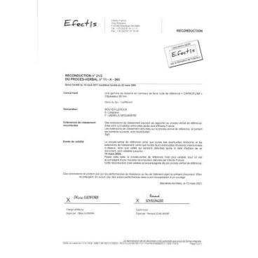 PV Feu carroflam 11-A-065