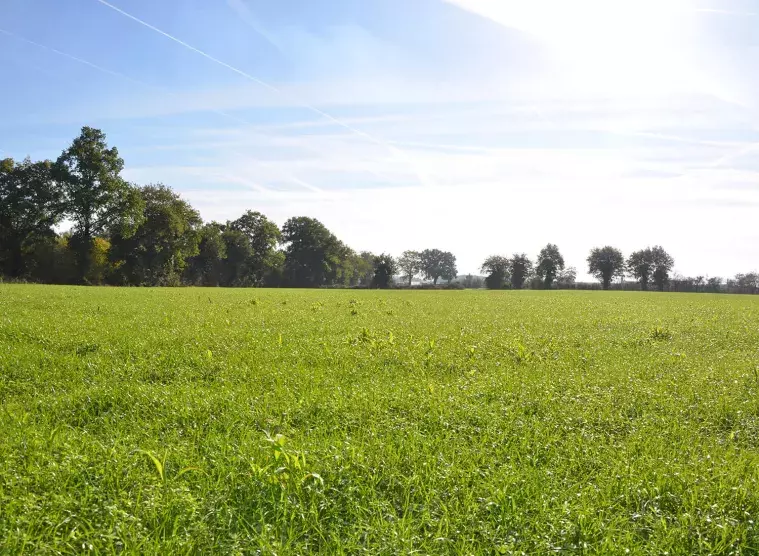 Réhabilitation gisement d'argile