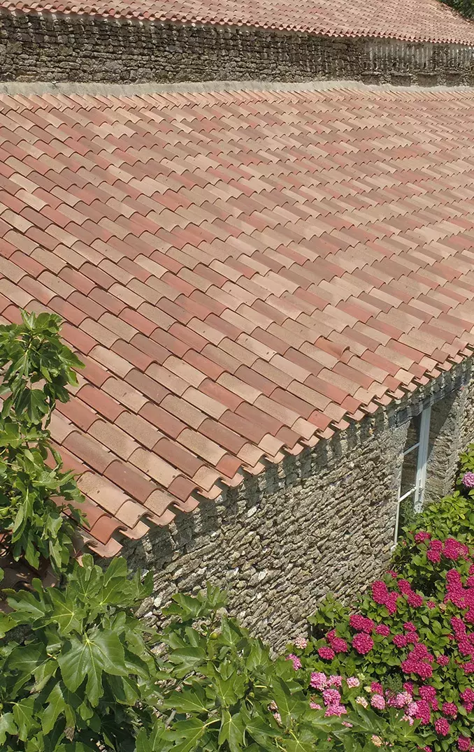 TUILE - Marque Tegula